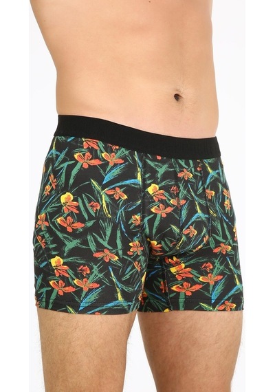 Five Pocket Fpb8001 Desenli Erkek Boxer (516184780)