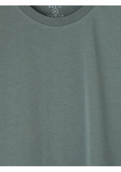 Lcwaıkıkı Classic Yeşil Regular Fit %100 Pamuk Erkek Tişört
