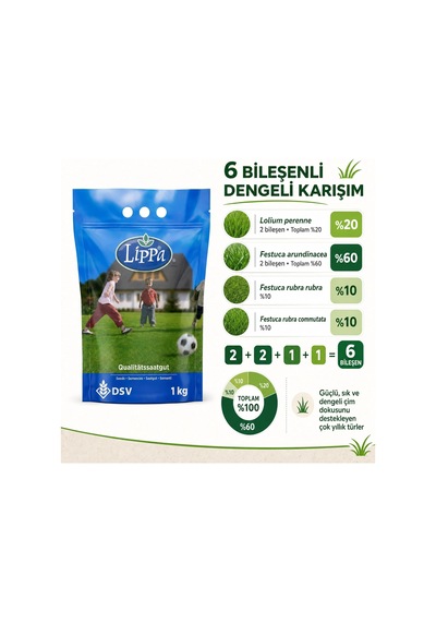Lexroo Lippa Lisuna 6 Mix Çim Tohumu, Genel Kullanım Ve Bakımı Zor Alanlar İçin 6 Bileşenli Karışım Standart