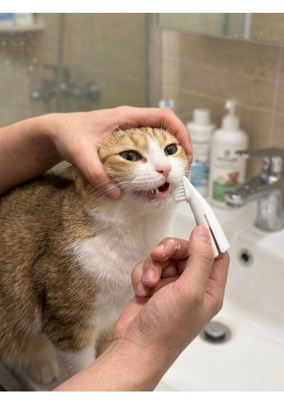 Parmak Tipi Evcil Hayvan Diş Fırçası - Kedi Köpek Diş Fırçalama Aparatı