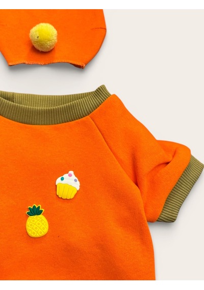 Kemique Pineapple And Ice Cream Turuncu Haki Bereli Köpekler İçin Polar Sweatshirt Takım