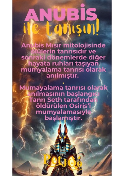 Petjoo 30.Anubis Sarı-Pembe Qr'lı Köpek Künyesi
