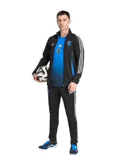 Adidas Erkek Siyah Eşofman Altı Jb Tr Pnt Jx6302 Siyah