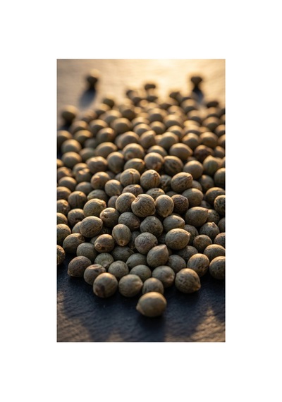 Bamya Tohumu 150gr - Abelmoschus Esculentus, Okra Seed, Doğal Ve Katkısız