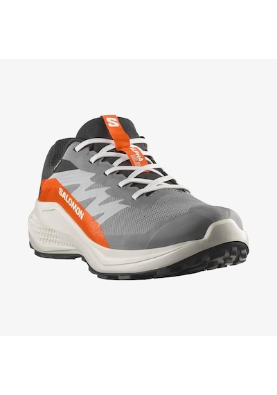 Salomon Alphaglide Gore-tex Erkek Koşu Ayakkabısı L47975300 Gri