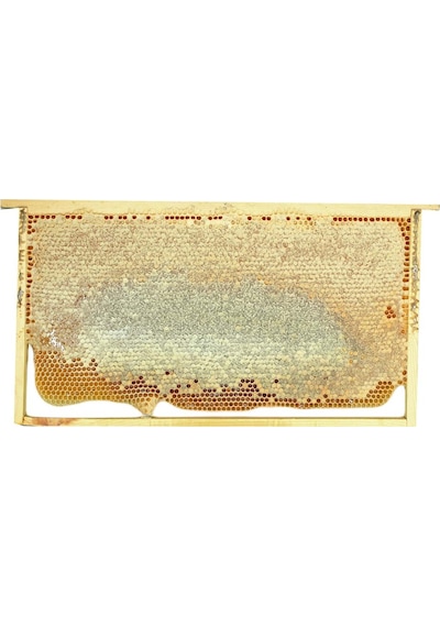 Hizan Petek Balı 1250 G