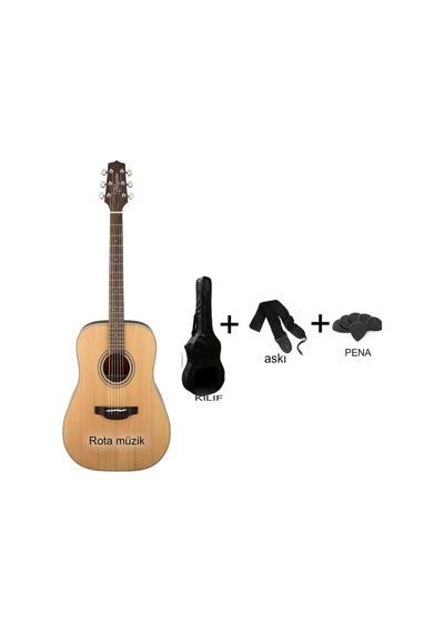 Takamine Gd20-Ns Akustik Gitar