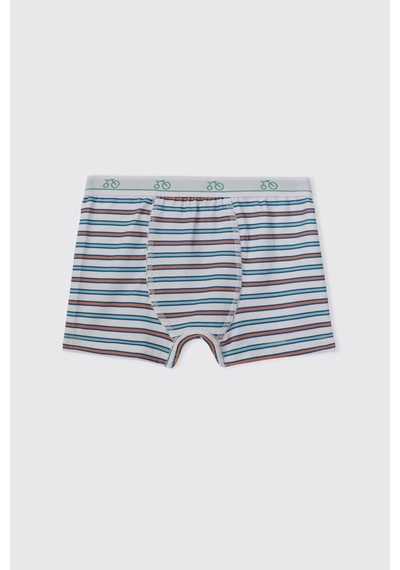 Panço Erkek Çocuk 3'lü Boxer Set 2612bk14004 Renkli