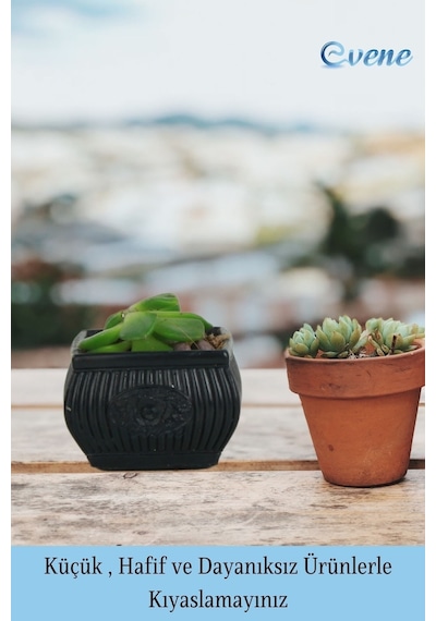 Mini Çiçek Saksı Küçük Sukulent Kaktüs Saksısı 3'lü Set Mini Çizgili Çiçekli Model - Siyah