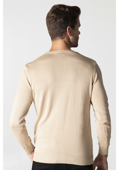 Tudors Slim Fit Dar Kesim Bisiklet Yaka Erkek Kazak-25769-Taş Çok Renkli