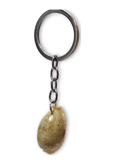 Deniz Kabuğu Anahtarlık Cowrie Shell 310