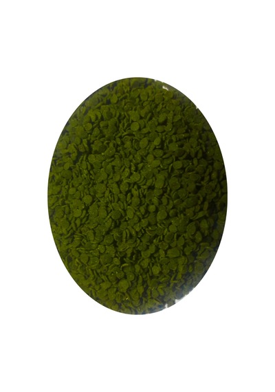 Tropheus Veggie 1 L + Ahm Cichlid Green Kutu Balık Yemi 250 ML