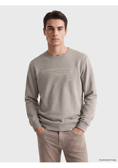 Lcwaıkıkı Classic Bej Bisiklet Yaka Baskılı Kalın Erkek Sweatshirt