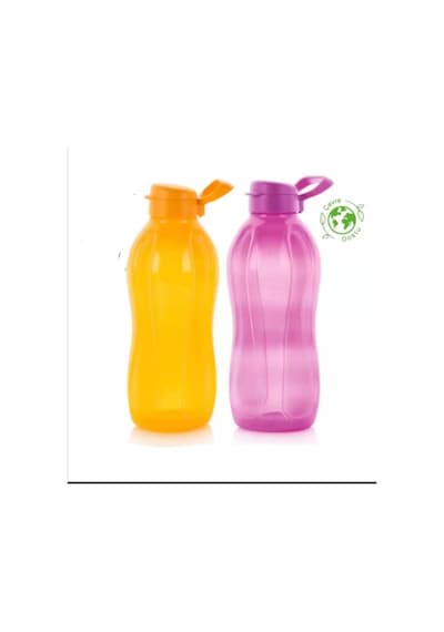 Eko Şişe 2li Ve 2 Litre Suluk Matara Papaya Füşya