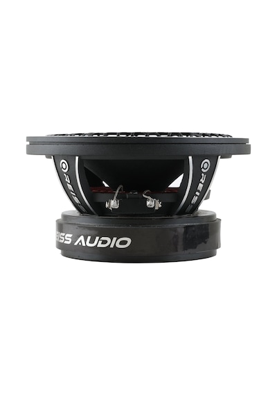 Reiss Audio 16 Cm Midrange Rs-m6tj 150w Rms 350w Maksimum Güç Kap