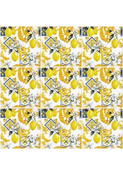 Can Seramik – 10x10 Cm. Cç-107 Kütahya Çini Karo 5'li 1 Paket