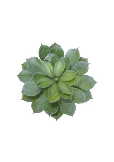 Yapay Dikenli Sukulent 35 Cm-9964