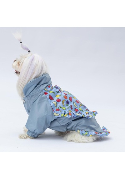Gri Victoria Köpek Mont Köpek Yağmurluk Köpek Kıyafeti Köpek Elbisesi Gri Victoria Köpek Mont Köpek Yağmurluk Köpek Kıyafeti Köpek Elbisesi