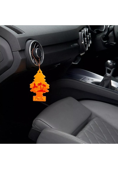Car Freshner Asma Koku 12'li Kokteyl