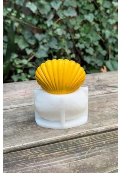 Büyük Deniz Kabuğu 3d Mum Kalıbı Silikon