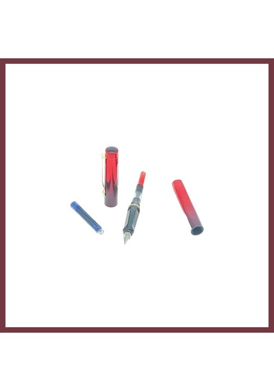 Storeşahin Dk05 Dolmakalem Teklı Pompalı & Kartuslu 812 1 Adet Shn0720 Çok Renkli