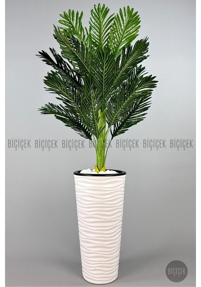 Biçiçek Areka Ağaci 150 Cm Beyaz Kumsal Saksıda Tek Gövdeli̇