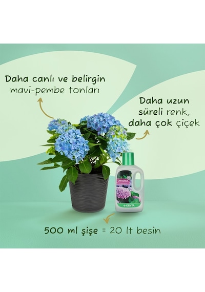Genta Ortanca İçin Sıvı Besin Diğer