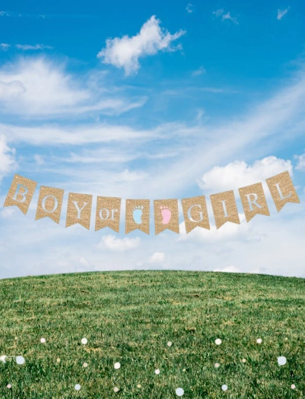 Cinsiyet Partisi Banner Jüt Görünümlü Boy Girl 10 Bayraklı 150cm Diğer