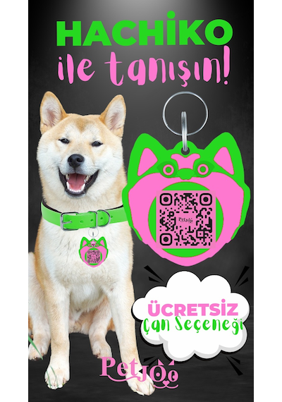 Petjoo 19.Hachiko Pembe-Yeşil Qr'lı Köpek Künyesi