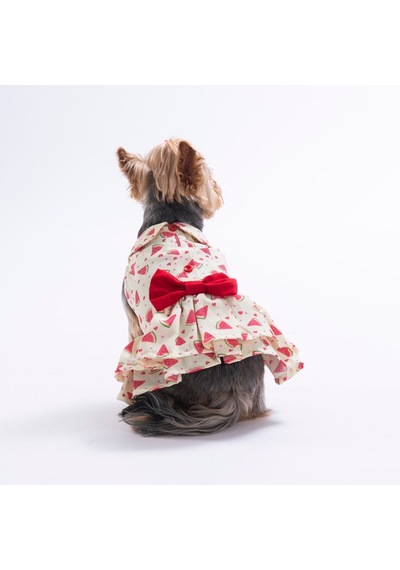 Berry Crush Meyve Desenli Kedi Köpek Elbisesi - Kedi Köpek Kıyafeti