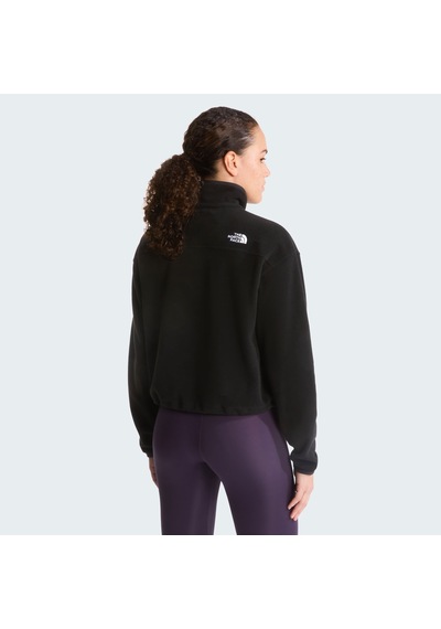 The North Face W Novelty Logo Glacıer 1/4 Zıp Kadın Ceket Nf0a8j3zjk31 Siyah