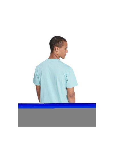 Quiksilver Ev Mını Logo Erkek Tişört Eqyzt08181-qk.bga0 Mavi