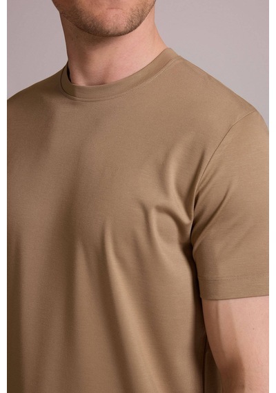 Erkek Vizon Regular Fit Bisiklet Yaka T-shirt