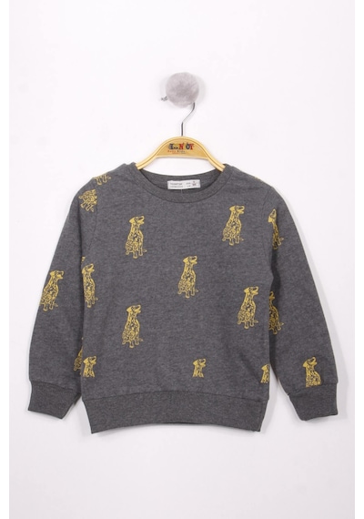 Toontoy Kids Toontoy Erkek Çocuk Köpek Baskılı Sweatshirt Antrasit