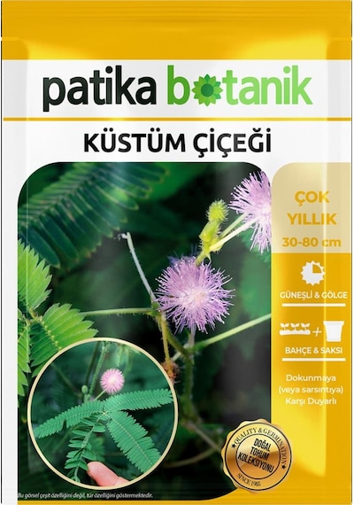 50 Adet Küstüm Çiçeği Tohumu