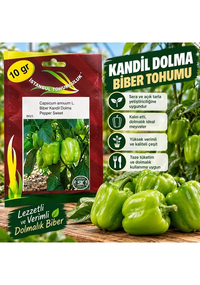 Kandil Dolma Biber Tohumu 10 Gr