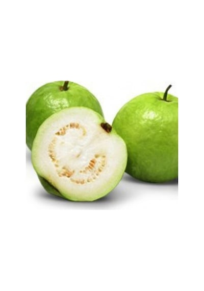Psidium Guava Meyvesi Tohumu 3 Adet Tohum