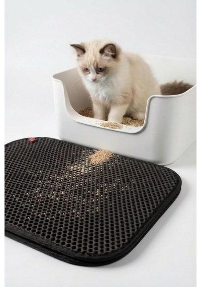 Cleanpaw Premium Kedi Tuvalet Önü Paspası, Çift Katmanlı Kedi Kumu Toplayıcı, Geniş Delikli, Kolay Temizlenir Siyah, 50 X 50