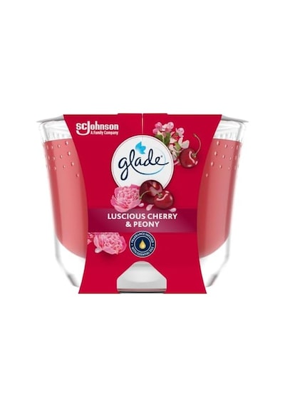 Meyve Çiçek Buketi Büyük Mum 204 G 285 ML