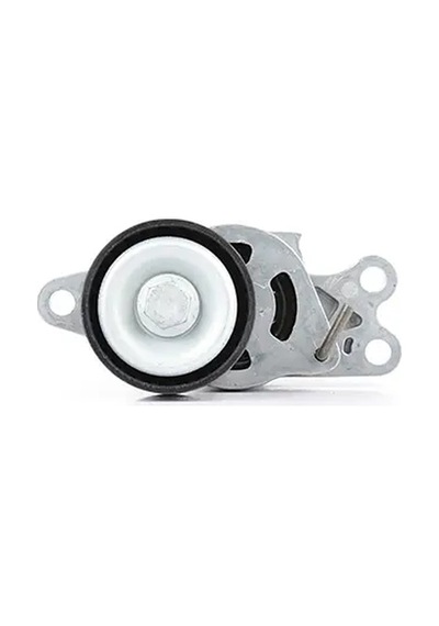 Triger Gergi Rulmanı - Fiat Qubo, Fiorino - Bsg-70615015