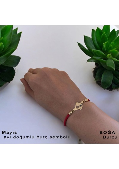 Archin Boğa Burçlarına Minik Kuş Motifli Kırmızı Örgülü 14 Ayar Altın Plakalı Hediye Bileklik-363burç Boğa Archin Boğa Burçlarına Minik Kuş Motifli Kırmızı Örgülü 14 Ayar Altın Plakalı Hediye Bileklik-363burç Boğa
