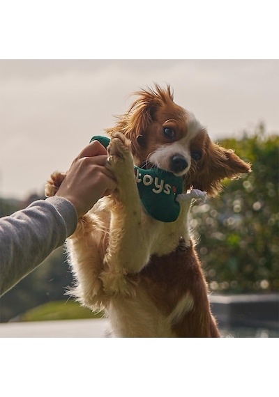 Kito Toys Kemik Peluş Köpek Oyuncağı