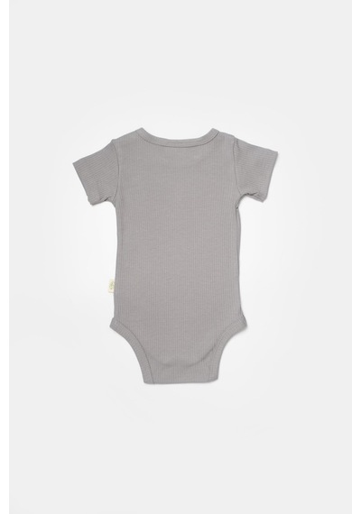BabyCosy Organik 2 Li Kısa Kollu Body Csyb9017 001
