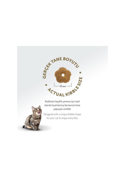 Az Tahıllı 2 Kg Yetişkin Tavuklu Hypoallergenic Kedi Maması