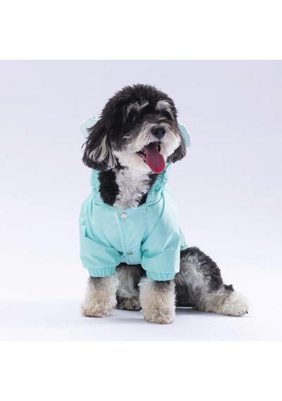 Mint Sydney Köpek Montu Köpek Yağmurluk Köpek Kıyafeti Köpek Elbisesi
