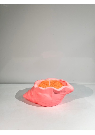 Oyster Candle- El Yapımı Mum Pembe-turuncu