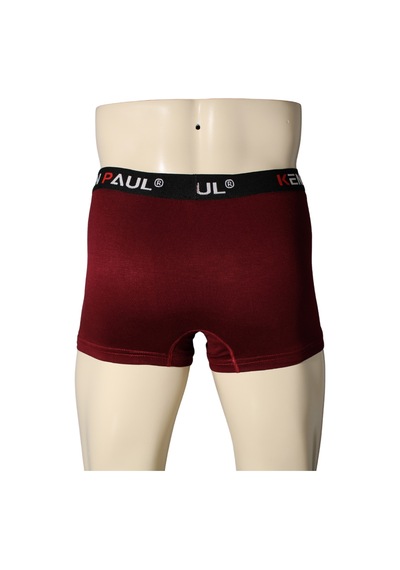 Kenn Paul Erkek Bordo Bambu Boxer Rahat Kumaş Premium Boxer Çok Renkli