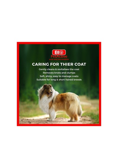 Biopetactive Aloevera Özlü Köpek Şampuanı 400 Ml Tüm Saç Tipleri