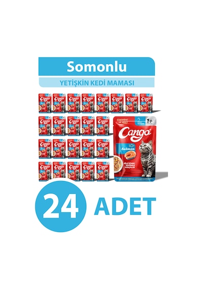 Cango Yaş Yetişkin Kedi Maması Somonlu 80 Gr 24 Adet