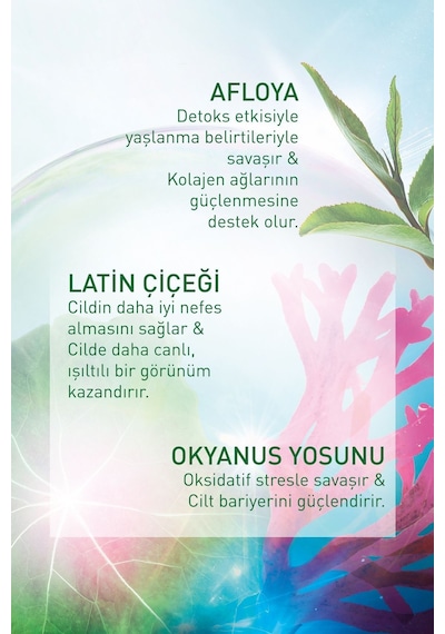 Ciltlerdeki Kırışıklık Ve İnce Çizgi Görünümünü Azaltıcı,yaşlanma Karşıtı Gece Kremi-50 Ml